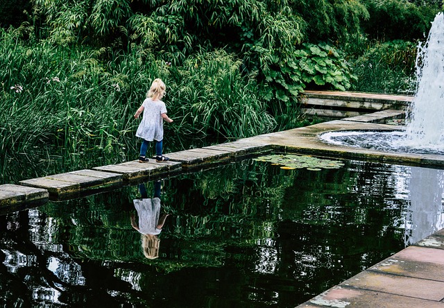 Undgå begynderfejl: Eksperternes råd til den perfekte have